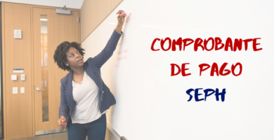 Consultar Talón De Pago De SEPH
